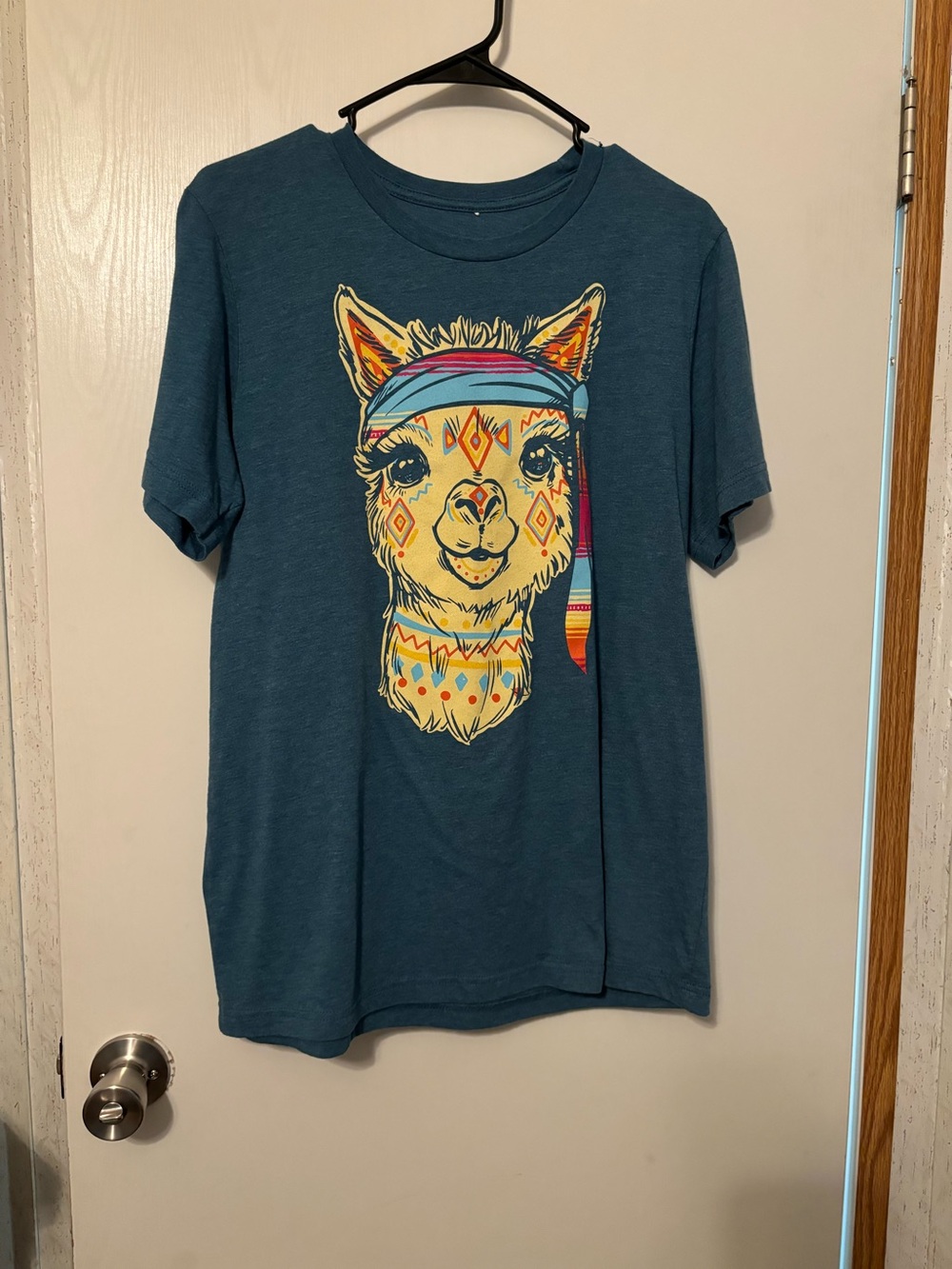 Teal Graphic Llama Short Sleeve Tee